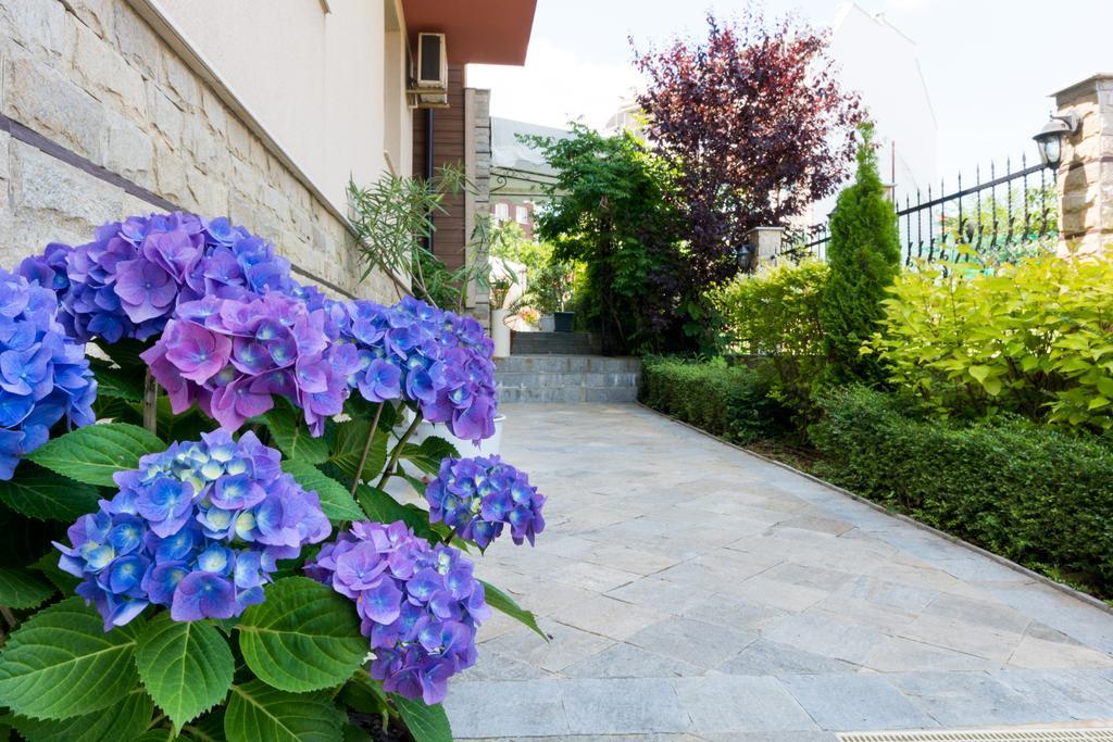 Siena House Hotell Sozopol Exteriör bild
